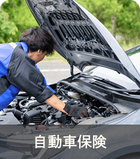 自動車保険